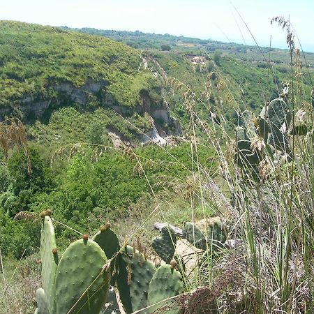 Azienda Agrituristica Carida Zaccanopoli Ngoại thất bức ảnh