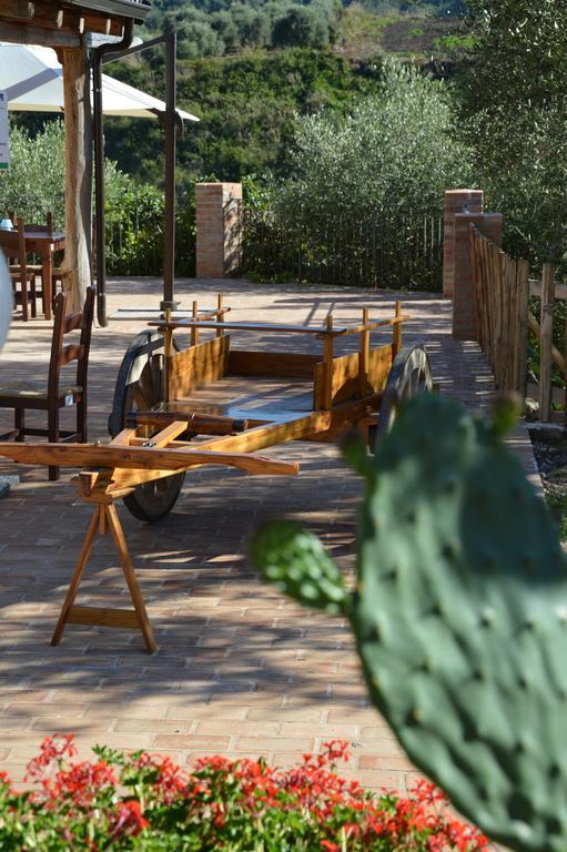 Azienda Agrituristica Carida Zaccanopoli Ngoại thất bức ảnh